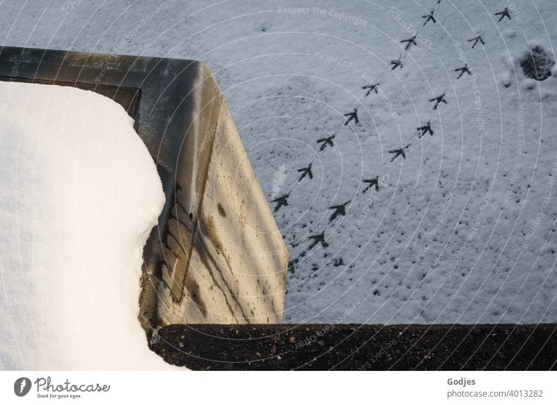 Fußabdrücke eines Vogels auf gefrorenem Fluss, Fußspuren | jetzt aber schnell ... runter vom Eis Möwe Schnee Eisfläche Winter Außenaufnahme Spuren kalt Frost