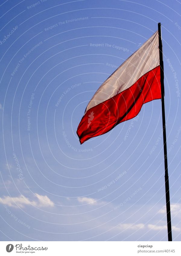 Polen Fahne Ausstellung Messe flags poland