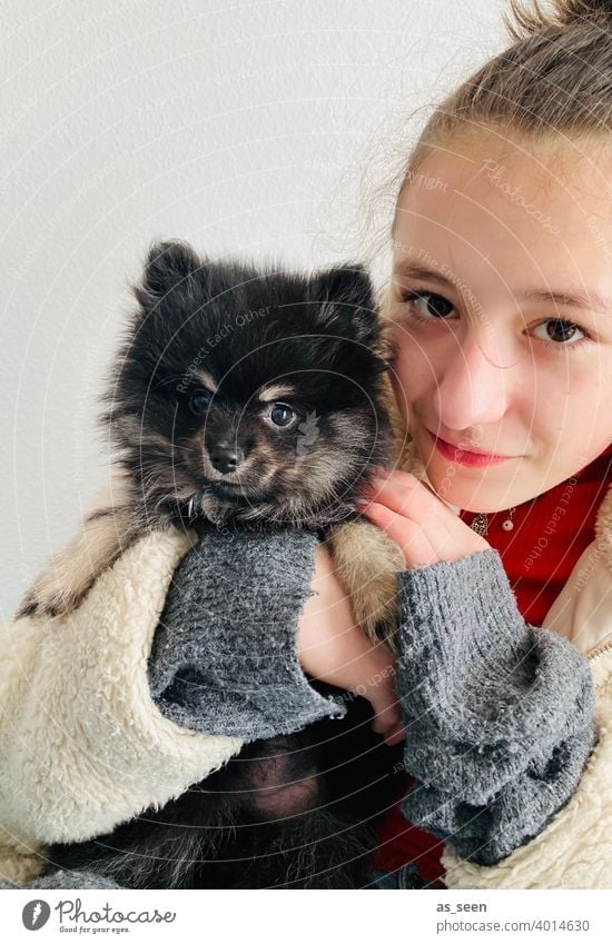 Mädchen hält Black Pomeranian Welpen auf dem Arm Zwergspitz Hunderasse Blick in die Kamera Freude Tierliebe Farbfoto 1 Haustier Tag niedlich Freundlichkeit