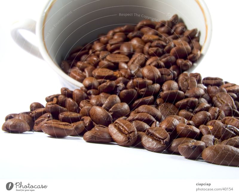 Kaffee Espresso Kaffeetasse Tasse Coffee Mokkatasse