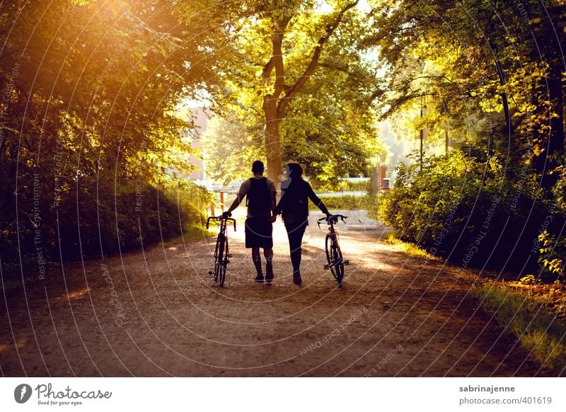 in den Sonnenuntergang Freude Glück Gesundheit Freizeit & Hobby Fahrradfahren Mensch Freundschaft Paar Erwachsene Leben Natur Landschaft Sport träumen