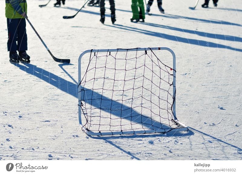 grün gegen schwarz Eishockey Eishockeyschläger eishockeytor Eisfläche Wintersport Schlittschuhe Schlittschuhlaufen Sport Frost kalt Farbfoto Freizeit & Hobby