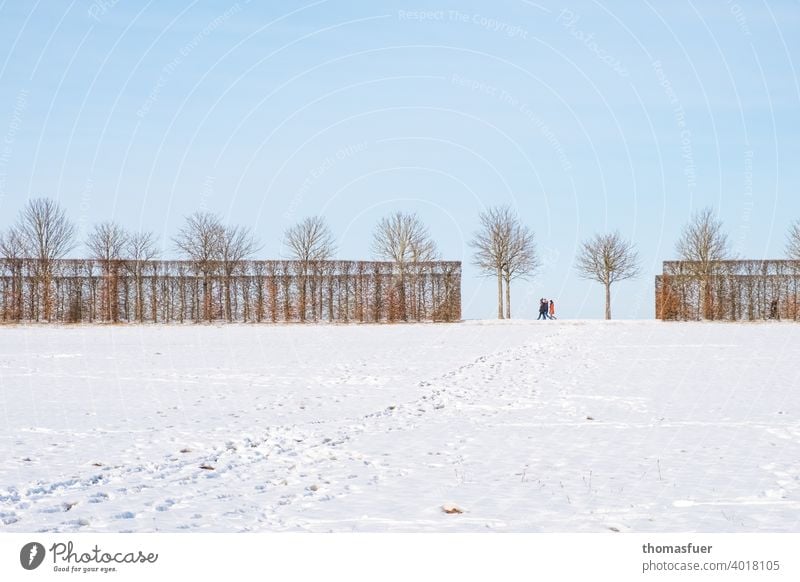 Menschen beim Winterspaziergang auf einer Allee mit Schneefeld und Himmel Weitwinkel Totale Kontrast Schatten Licht Tag Außenaufnahme kalt Wege & Pfade Baum