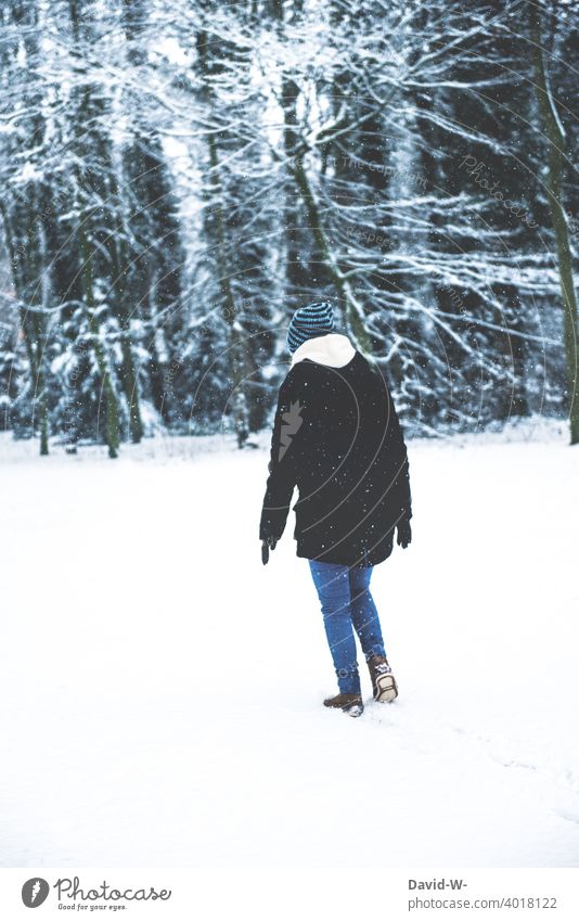 Frau watet durch den tiefen Schnee waten schneien Weihnachten Winter weiß Wald Winterstimmung Wintertag Schneelandschaft kalt frostig