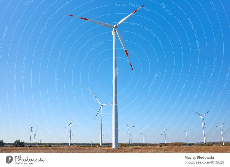 Bild eines Windkraftanlagenparks gegen den blauen Himmel. Windmühle Turbine Kraft Ökostrom Bauernhof regenerativ Elektrizität alternativ Umwelt Erzeuger