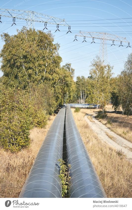 Pipeline mit Hochspannungsmasten im Hintergrund in einem Wald. Gas Röhren Natur Heizung Industrie Kraft Energie Technik & Technologie Umwelt Linie Business