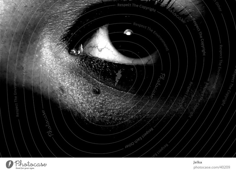 Auge Gesicht feminin Frau Erwachsene 18-30 Jahre Jugendliche dunkel schwarz weiß Wimpern face eye eyes Schwarzweißfoto Studioaufnahme Textfreiraum unten