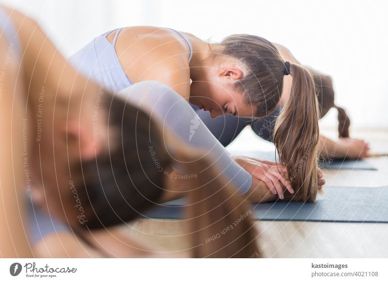 Gruppe von jungen sportlichen attraktiven Frauen im Yoga-Studio, üben Yoga-Lektion mit Lehrer, sitzen auf dem Boden in Vorwärtsbeuge Yoga-Sana-Haltung. Gesunde aktiven Lebensstil, arbeiten in Innenräumen in der Turnhalle