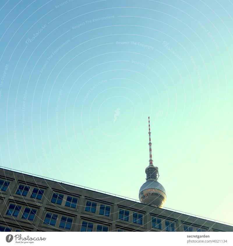Grüße nach Berlin! Berliner Fernsehturm Sightseeing Tourismus Tourist Hauptstadt Sehenswürdigkeit Architektur Blickwinkel Froschperspektive minimalistisch