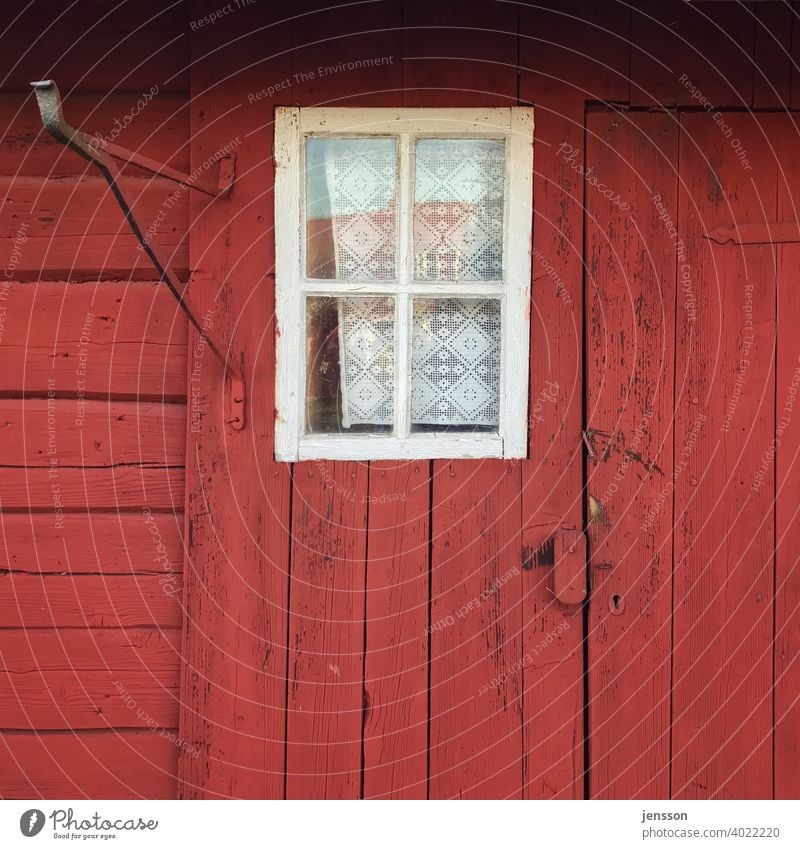 Fenster an einem roten Schwedenhaus Holzhaus Holzfassade schwedenrot Schwedisch Skandinavien skandinavisch Haus Fassade Gardine Sprossenfenster weiß verwittert