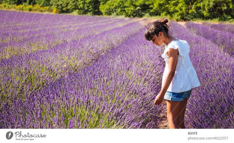 Cute glückliches Mädchen beobachten die Blumen in einem Lavendelfeld im Sommer Feld Kind Spaß Freude Glück Provence Frankreich Natur Urlaub Wahrzeichen Menschen