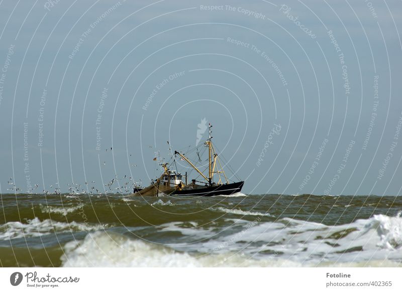 Ahoi! Umwelt Natur Urelemente Wasser Wellen Nordsee Meer Schifffahrt Fischerboot Wasserfahrzeug Coolness kalt nass Krabbenkutter Möwe Vogelschwarm