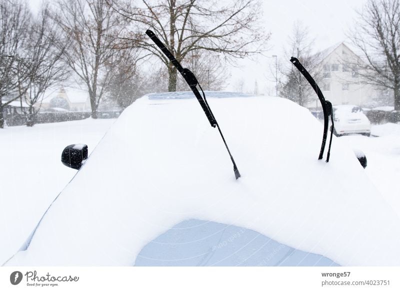 2 abgekappte Scheibenwischer ragen aus einem mit Schnee bedeckten Auto Winter Schneebedeckt Kälte abgeklappt kalt schneebedeckt Winterstimmung Wintertag weiß
