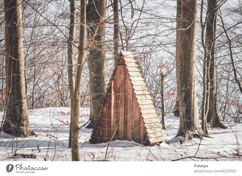 Kleiner Unterstand in einem Wald mit Schnee Hütte winzig Dänemark Forstwirtschaft Cottage erkunden Skandinavien Buchsbaum Tag Jagd Futter Futtermittel Nutzholz