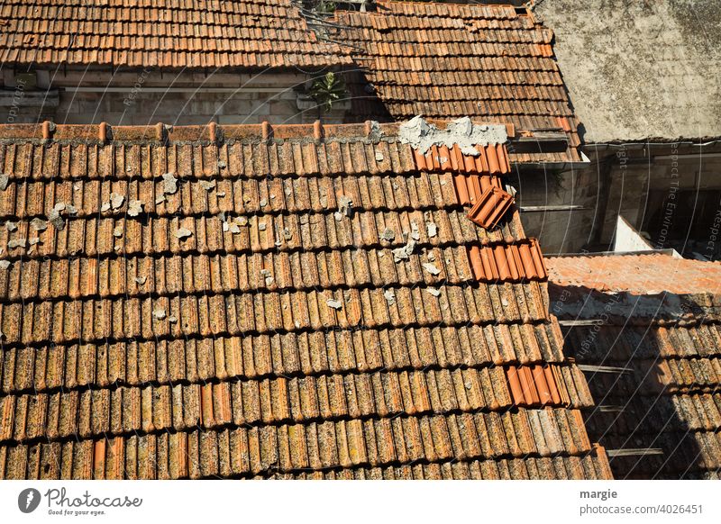 Dächer mit Ziegeln wird repariert Dach Dachziegel Dachgiebel Ziegeldach Haus Außenaufnahme Gebäude rot Menschenleer Farbfoto historisch Häusliches Leben alt