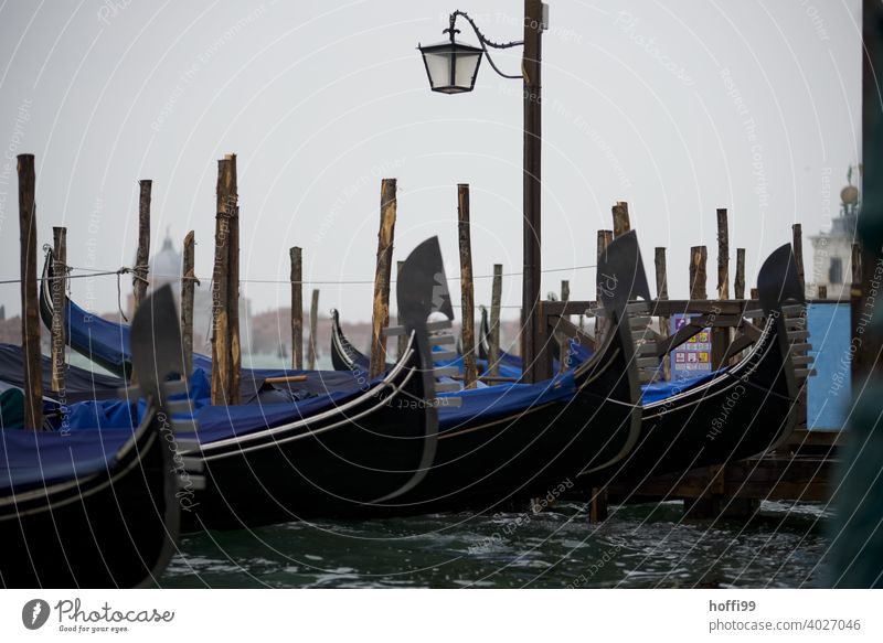 Blick im Regen auf einen Anlegeplatz von Gondeln in Venedig Lagune gondeln Gondoliere Wasser Wasserfahrzeug Italien Bootsfahrt Tourismus Hafenstadt Schifffahrt