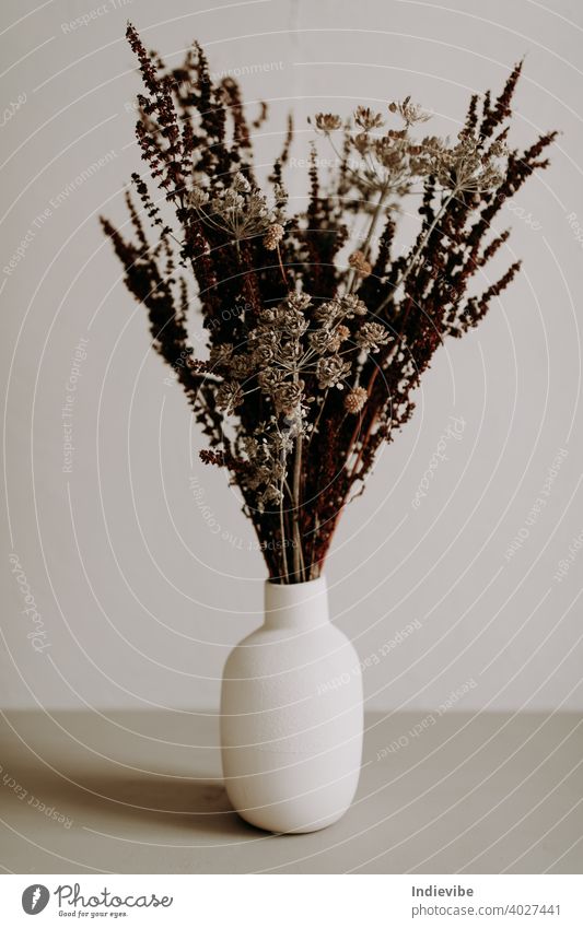 Brown wild getrocknete Blume in Keramik-Vase Nahaufnahme auf grauem Hintergrund Blumenstrauß weiß vereinzelt Frühling Natur Dekoration & Verzierung Blüte