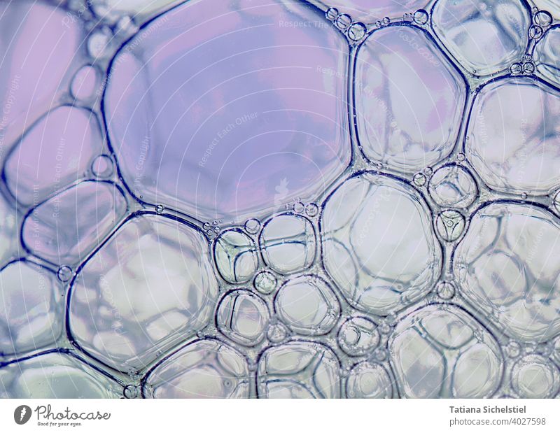 Makroaufnahmen von leicht bläulichen Blubberblasen Blasen blau Wasser blubbern nass Spülmittel Seifenblasen Luftblase Flüssigkeit Schaum