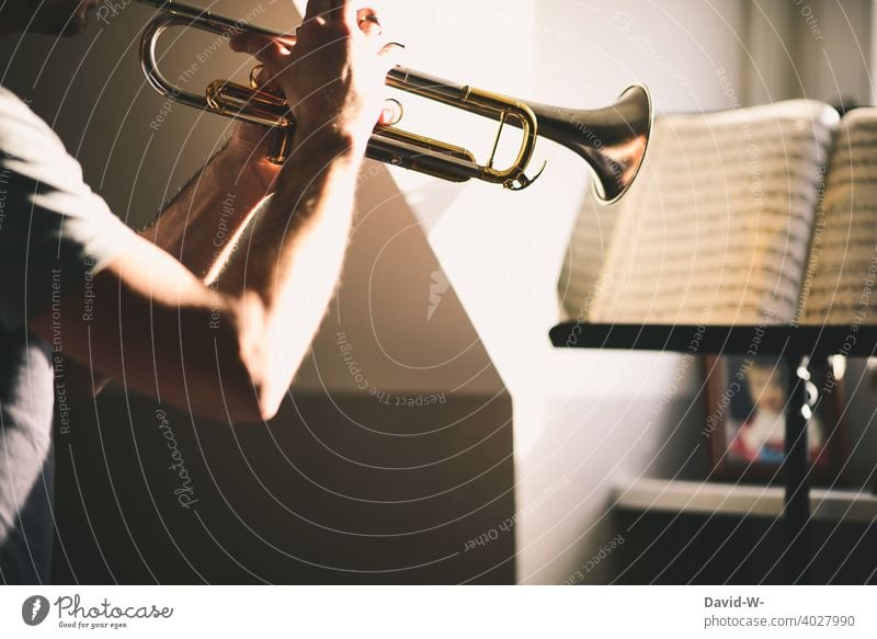 Mann studiert sein Instrument und spielt Noten vom Notenständer ab Musiker Trompete Musikinstrument ehrgeizig üben lernen Weiterbildung Student studieren hobby