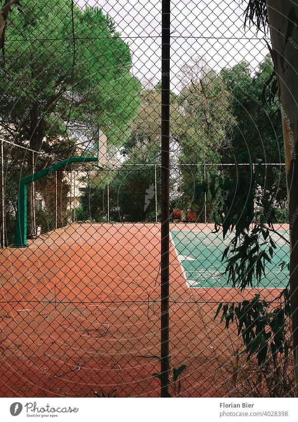 Eingezäunter Sportplatz mit der Möglichkeit zum Basketball und Tennis spielen umgeben von Bäumen Ballsport Spielen Spielfeld Platz Linie grün Tennisplatz
