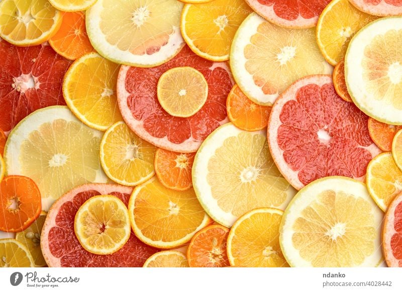 Zitrusfrüchte in runde Stücke geschnitten: Orange, Grapefruit, Zitrone, Mandarine saftig Frucht natürlich frisch Gesundheit orange Hintergrund Lebensmittel gelb