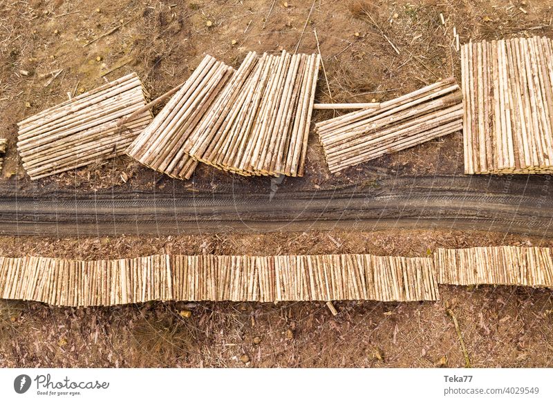 Holzstapel #2 baum holz baumstämme wald borkenkäfer von oben Klimawandel