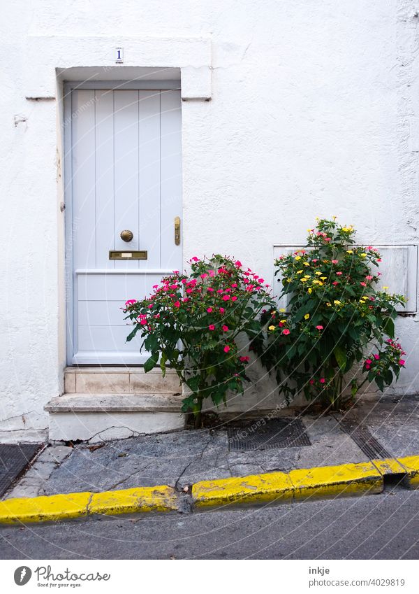 kubanische Straße Kuba Farbfoto Außenaufnahme Menschenleer Tag Haus Fassade Havanna Ferien & Urlaub & Reisen Stadt Städtereise Altstadt mehrfarbig