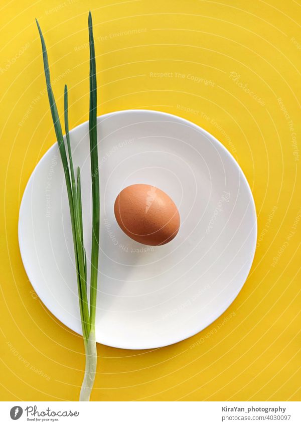Scallion Zwiebel und Ei auf weißem Teller gegen gelben Hintergrund Lebensmittel Mittagessen Stillleben flache Verlegung Snack Konzept sehr wenige vertikal