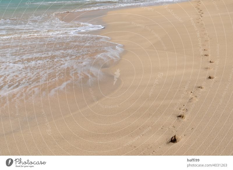 Fußspuren im Sand am Strand - leicht plätschern die Wellen an Land Sandstrand Brandung seichtes Wasser Wellengang Meer Horizont Küste Tag Gischt Erholung Insel