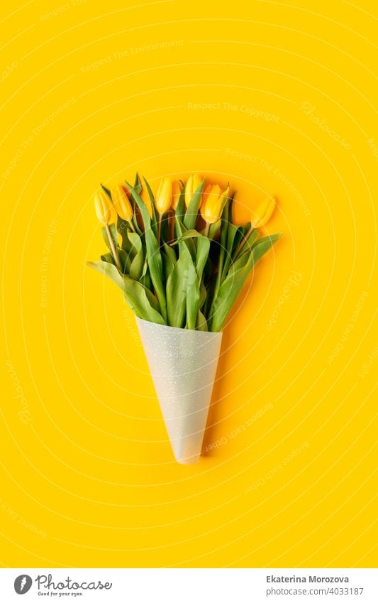 Gelber Tulpenblumenstrauß auf gelbem Hintergrund. Flachlage, Draufsicht, Kopierraum. Banner für saisonalen Urlaub, Frühlingskonzept, Internationaler Frauentag, 8. März, Frohe Ostern Grußkarte