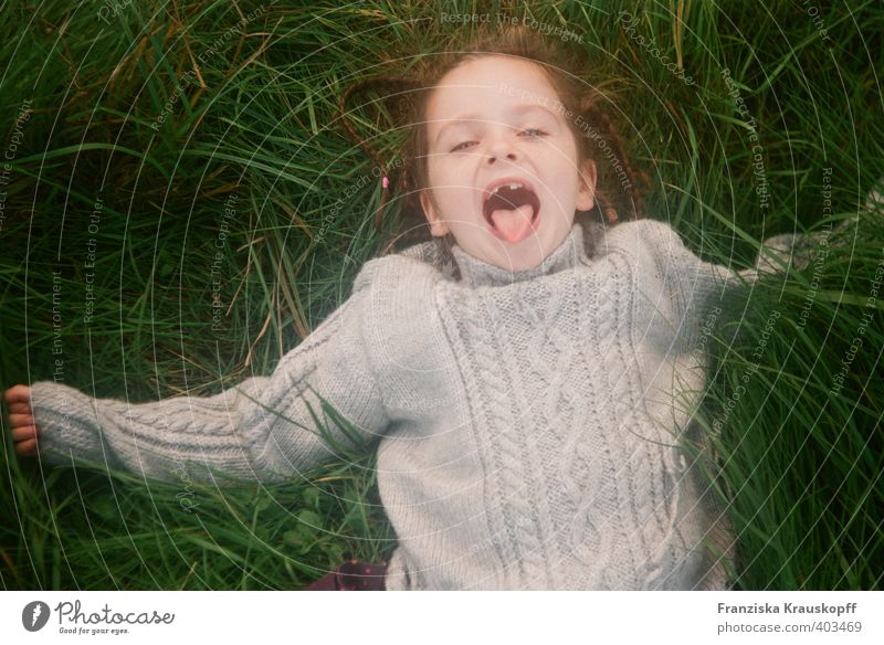 Mädchen mit Zahnlücke liegt im hohen Gras und steckt die Zunge raus. Gesundheit Spielen Kinderspiel Ferien & Urlaub & Reisen Kindererziehung Schulkind 1 Mensch