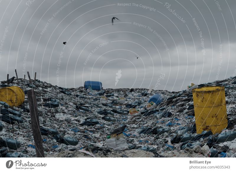 fliegende Krähen über einem riesigen Müllhaufen auf der Suche nach Nahrung Lauf verletzen alt umweltbelastend Abfall chaotisch unordentlich Verunreinigung