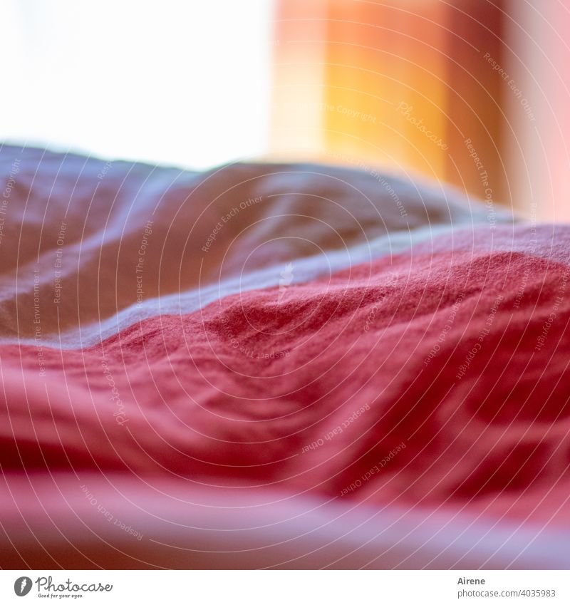 ungesund | den ganzen Tag im Bett rumhängen Schlafzimmer kuschlig liegen gemütlich weiß rot aufwachen Raum Stoff schlafen Morgen Bettdecke Wärme weich