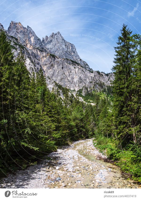 Landschaft im Klausbachtal im Berchtesgadener Land Gries Bayern Alpen Ramsauer Dolomiten Mühlsturzhörner Gebirge Berg Baum Wald Natur Wolken Himmel grün blau