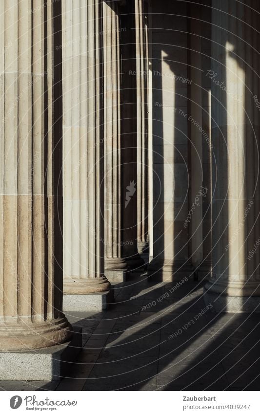 Dorische Säulen des Brandenburger Tors mit Sonnenlicht und Schatten dorisch Licht Berlin Hauptstadt Sehenswürdigkeit Denkmal Wahrzeichen Deutschland Architektur