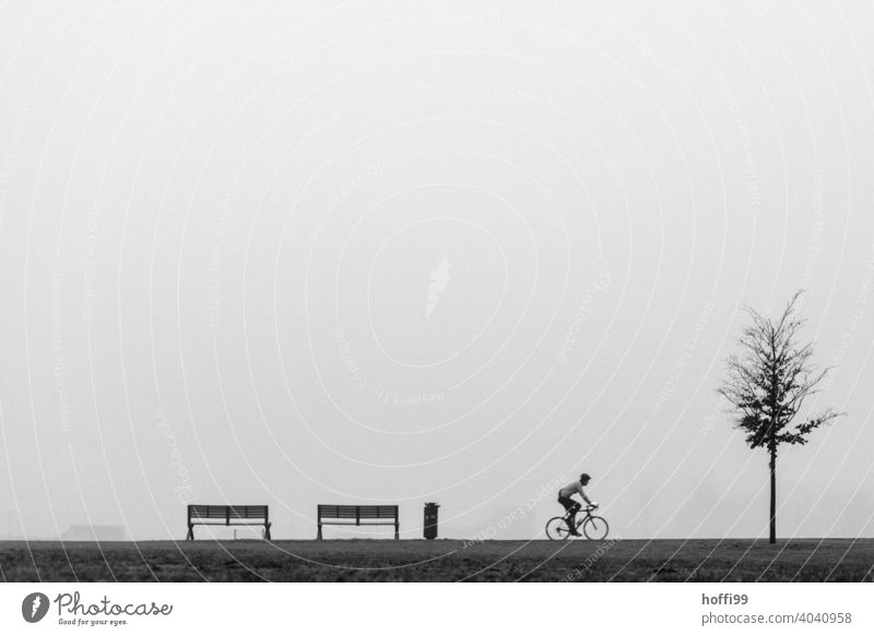 ein Szene im Nebel mit Sitzbank, Baum, Fahrradfahrer und Mülleimer Fahrradfahren Erwachsene Mensch Bewegung Silhouette Minimalismus Rad Nebelstimmung kalt nass