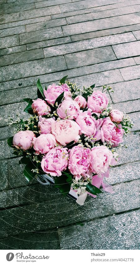 Eleganter Strauß von vielen rosa Pfingstrosen, Haufen von frischen schönen rosa Pfingstrosenblüten in voller Blüte, Nahaufnahme, Ansicht von oben. Blumige Sommertextur für den Hintergrund. Frühling blüht.