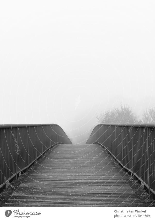 Blick über eine Brücke, der Weg verschwindet im nebeligen Nichts Fußgängerbrücke Fußgängerübergang Wege & Pfade Nebel Nebelstimmung Bäume Nebeltag