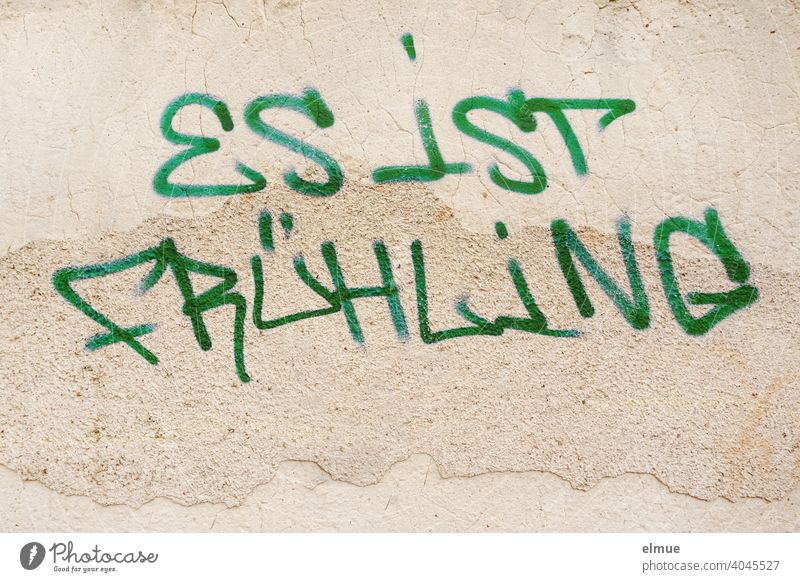 "ES IST FRÜHLING" steht in Druckbuchstaben und grüner Farbe an der Wand / Graffito / Frühlingsgefühle / Jugendkultur Graffiti Hauswand Schmiererei Blog Text