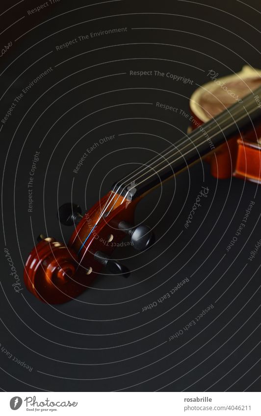 Schnecke einer Geige Detailaufnahme Instrument Musikinstrument musizieren klassisch Klassik spielen antik alt Ausschnitt Wirbel Saiten Streichinstrument vornehm