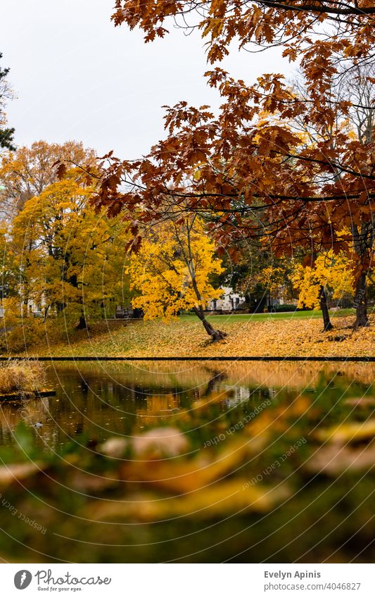 Niedriger Winkel vertikale Aufnahme auf rote Eiche und gelbe Ahornbäume und ihre bunten Reflexionen im Kanal Wasser während Herbst Tag auf Bastion Hill Park, Riga, Lettland