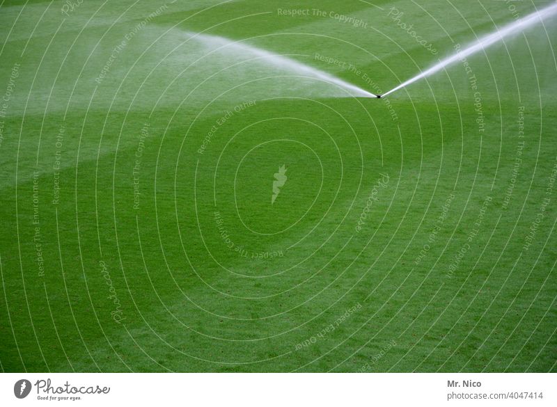 empfehlung I rasen bewässern nur morgens oder abends Gras Bewässerung Rasen Garten grün Feuchtigkeit Wiese Natur Sprinkleranlage Technik & Technologie Sommer
