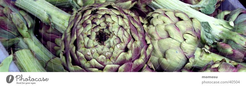 art shocking Obst- oder Gemüsestand grün Artischoke Detailaufnahme Ernährung Markt