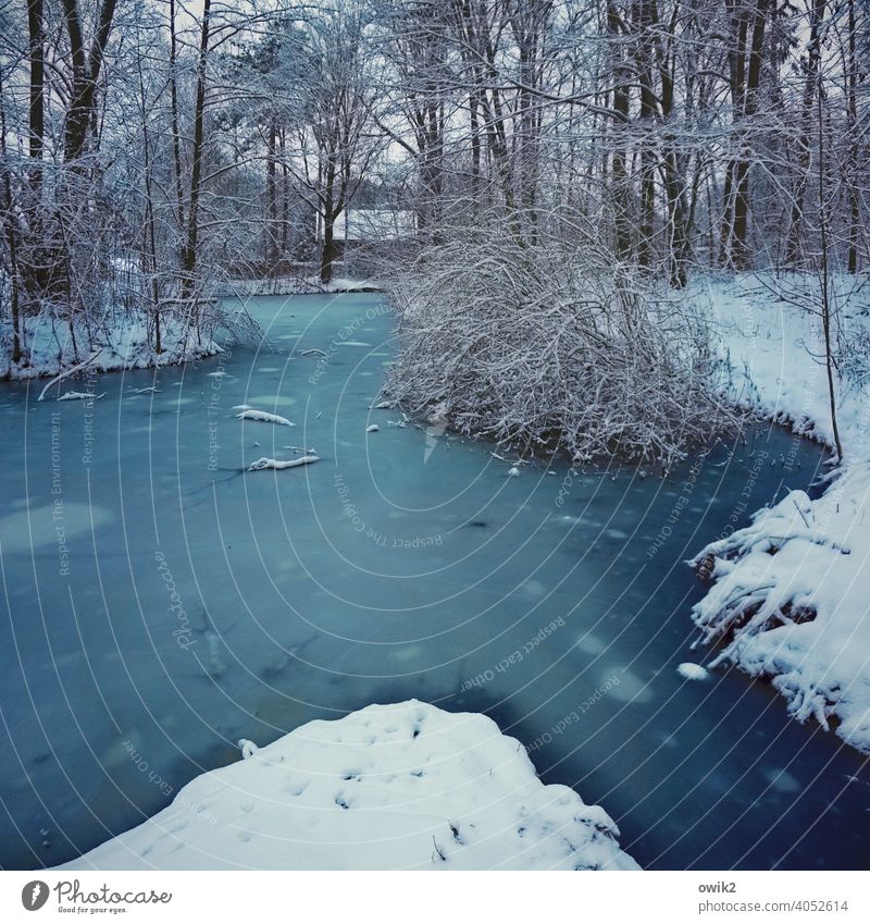 Tümpel Umwelt Natur Wasser Winter Eis Frost Schnee See frieren kalt blau natürlich gefroren Wasseroberfläche Außenaufnahme Menschenleer Farbfoto Tag