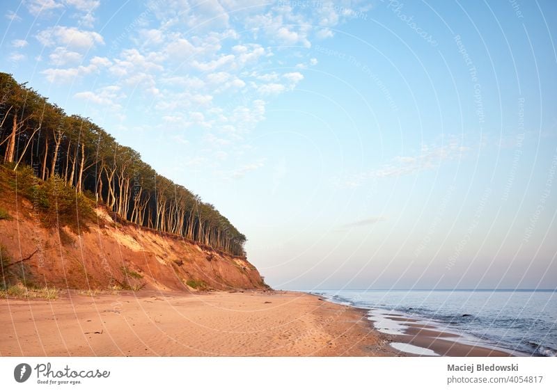 Leeren Strand mit Sand Klippe bei Sonnenaufgang, Ostsee, Polen. baltisch MEER schön Natur leer Miedzyzdroje Himmel Wald Europa Horizont Landschaft natürlich