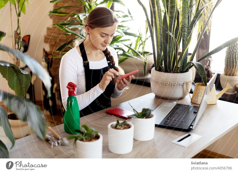 Eine Blumenverkäuferin nimmt mit ihrem Telefon in einem Blumenladen Online-Bestellungen entgegen. Laptop Blumenhändler Werkstatt jung Frau benutzend Porträt