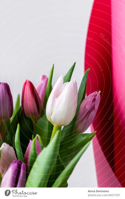 Bunter klassischer Tulpenstrauß Tag Haufen Blume Blumenstrauß Muttertag purpur rosa Natur Frühling grün 8. März schön Farbe Blüte Postkarte Sommer rot Geschenk