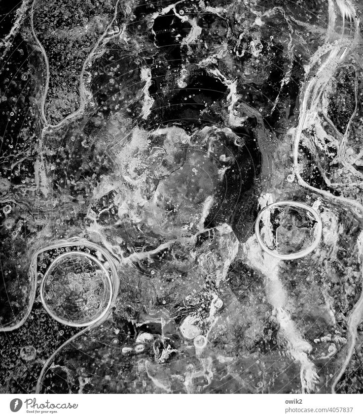 Winterfest Eis Nahaufnahme Detailaufnahme Luftblase Außenaufnahme abstrakt Muster Strukturen & Formen Menschenleer Gebilde Eisblasen Textfreiraum oben bizarr