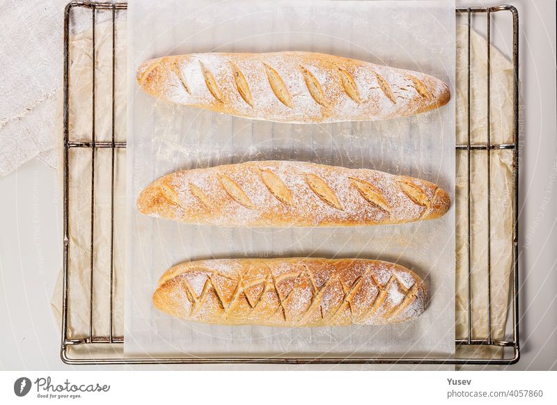 Hausgemachte frische, leckere Sauerteigbaguettes. Selbstgebackenes Brot. Ansicht von oben selbstgemacht mit feuchtem Mund Sauerteigbrot Baguette selbstgebacken