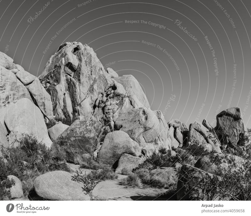 Joshua Tree Mono Abstrakt abstrakt schwarz auf weiß Kalifornien wüst joshua joshua-baum-nationalpark Landschaft mono Denkmal Park Straße Stein Sonnenaufgang